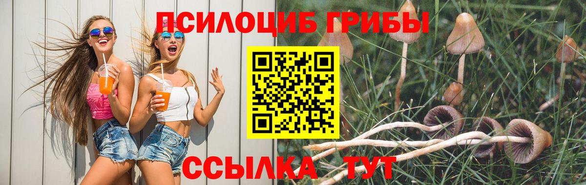 Галлюциногенные грибы Cubensis  Вход с VPN  Советск 