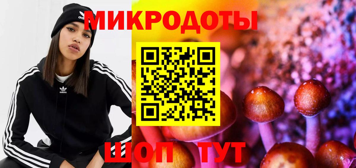 Псилоцибиновые грибы Psilocybine cubensis Советск